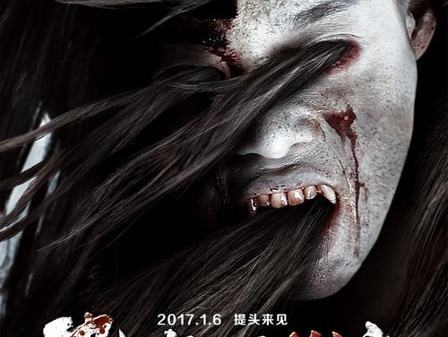 学位认证报告怎么下载pdf